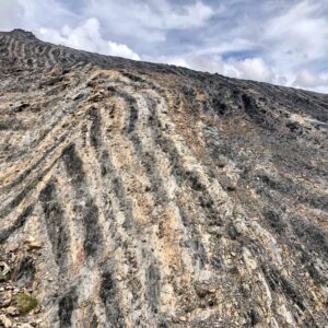 Hayuni Lines & Wheels 1D